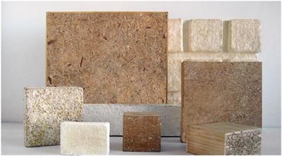 Tangled Tales of Mycelium and Architecture: Learning From Failure